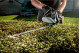 Купити Акумуляторний кущоріз Metabo AHS 18-65 В (600467850). Офіційний магазин Metabo, фірмова гарантія з доставкою по Украіні
