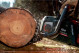 Купить Аккумуляторная цепная пила Metabo MS 36-18 LTX BL 40 (601613850). Официальный магазин Metabo, фирменная гарантия с доставкой по Украине.