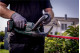 Купить Аккумуляторный кусторез Metabo HS 18 LTX 65 (601719850). Официальный магазин Metabo, фирменная гарантия с доставкой по Украине.