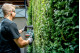 Купити Акумуляторний кущоріз Metabo HS 18 LTX BL 55 (601722850). Офіційний магазин Metabo, фірмова гарантія з доставкою по Украіні
