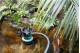 Купить Комбинированный погружной насос Metabo TPS 16000 S Combi (0251600000). Официальный магазин Metabo, фирменная гарантия с доставкой по Украине.